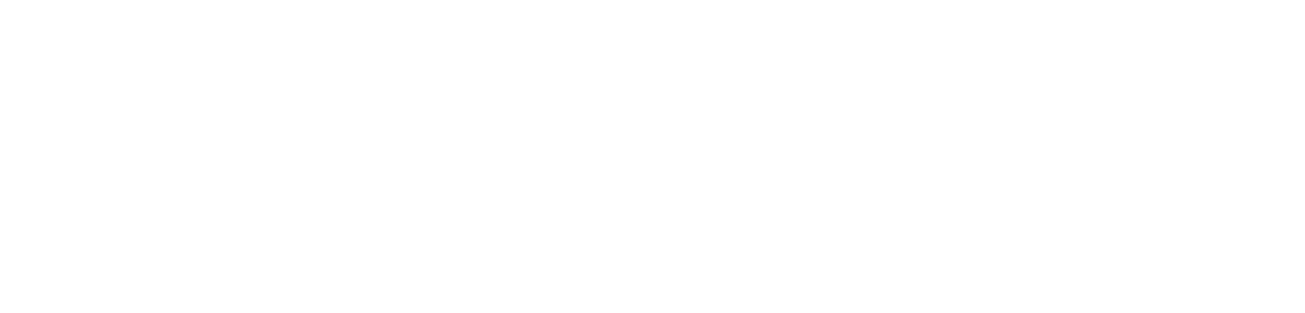 C4N VISA